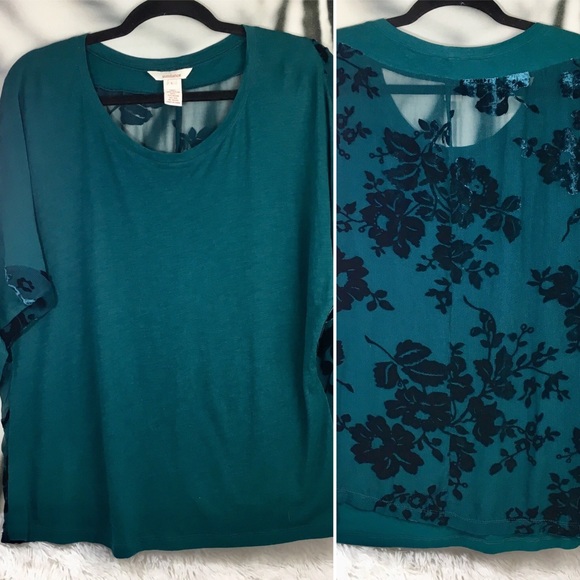Sundance Tops - 🌈SOLD🌈Sundance Sheer Velvet Back Dolman